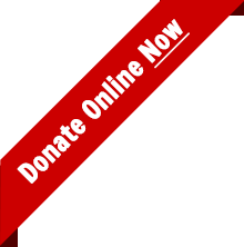 Donate Online Now