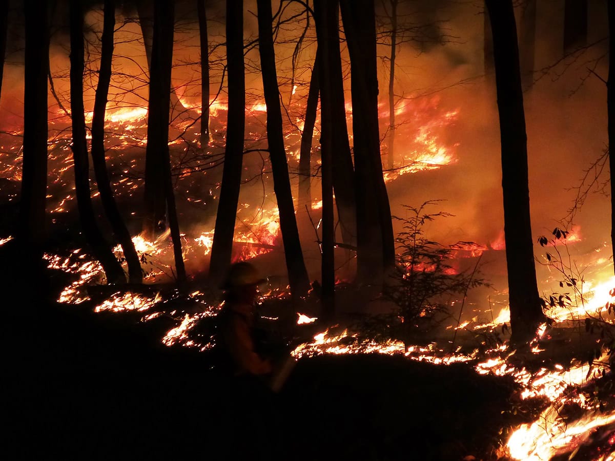 Climate Change and Wildfires | Department of Conservation and Natural ...