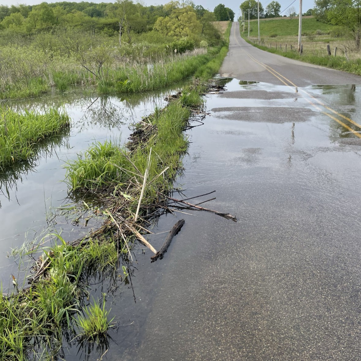 A two-lane roadway covered with standing water next to a low-lying marshy area.
