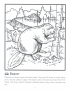 Beaver