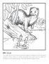 Mink