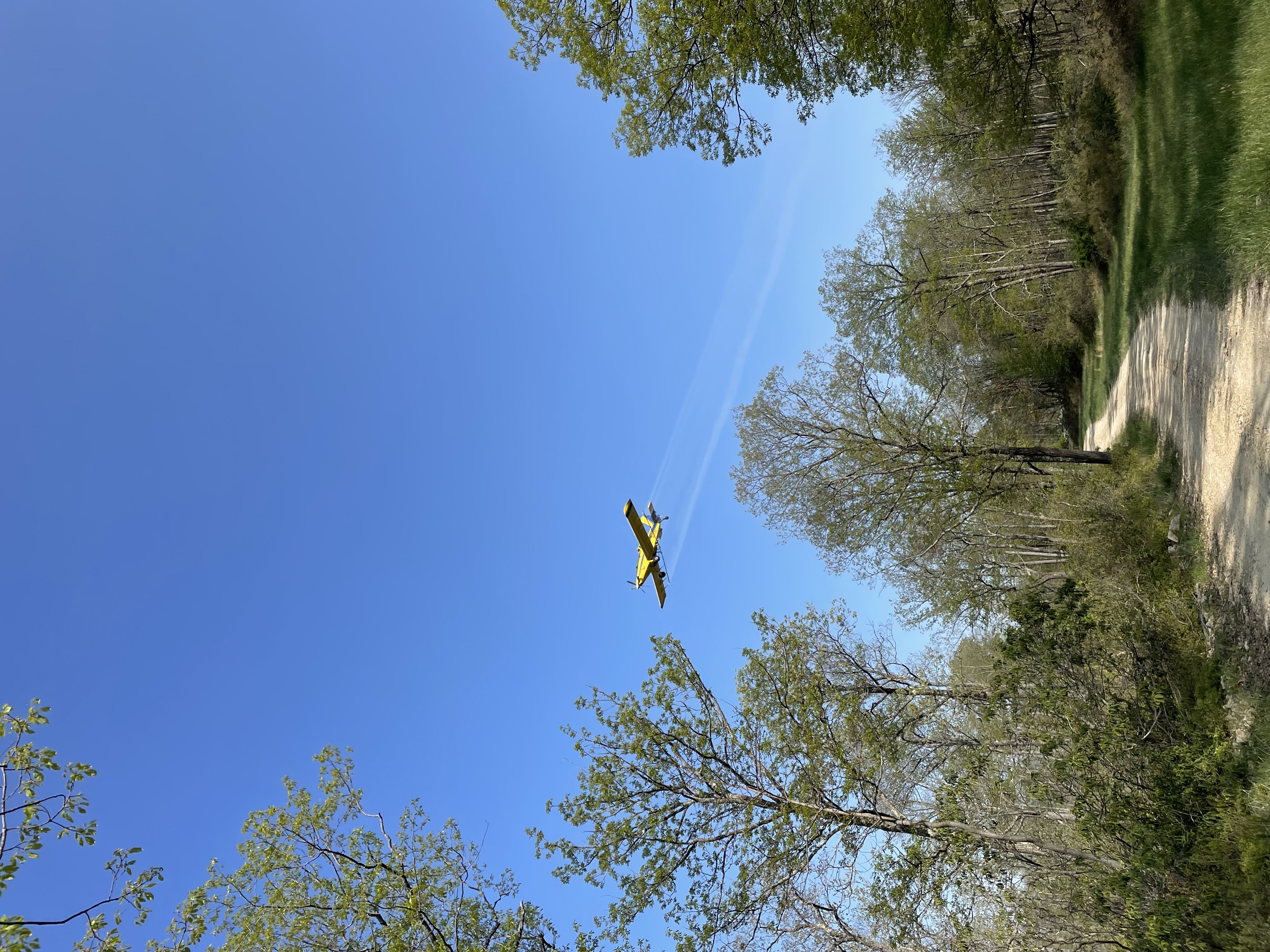 Airplane flying over forest spraying for spongy moth